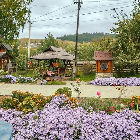 карпатське щастя