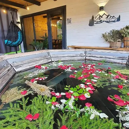 карпатське щастя * Werchowyna