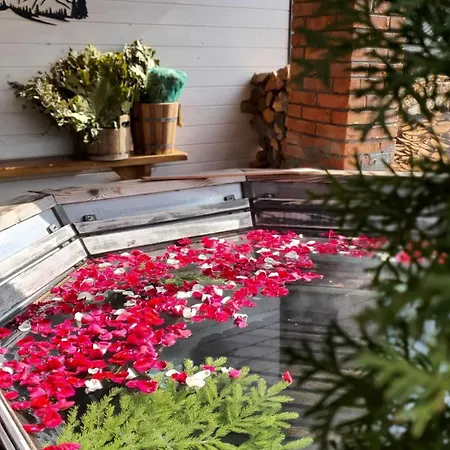山林小屋 карпатське щастя