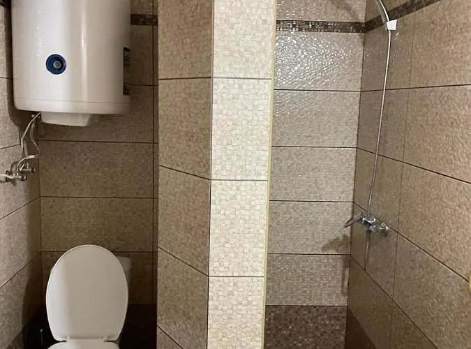 山林小屋 карпатське щастя *