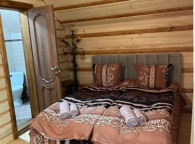 карпатське щастя 山林小屋 韦尔霍维纳