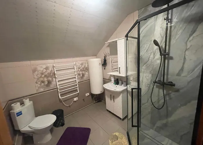 карпатське щастя 山林小屋