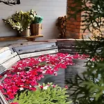 Lodge карпатське щастя
